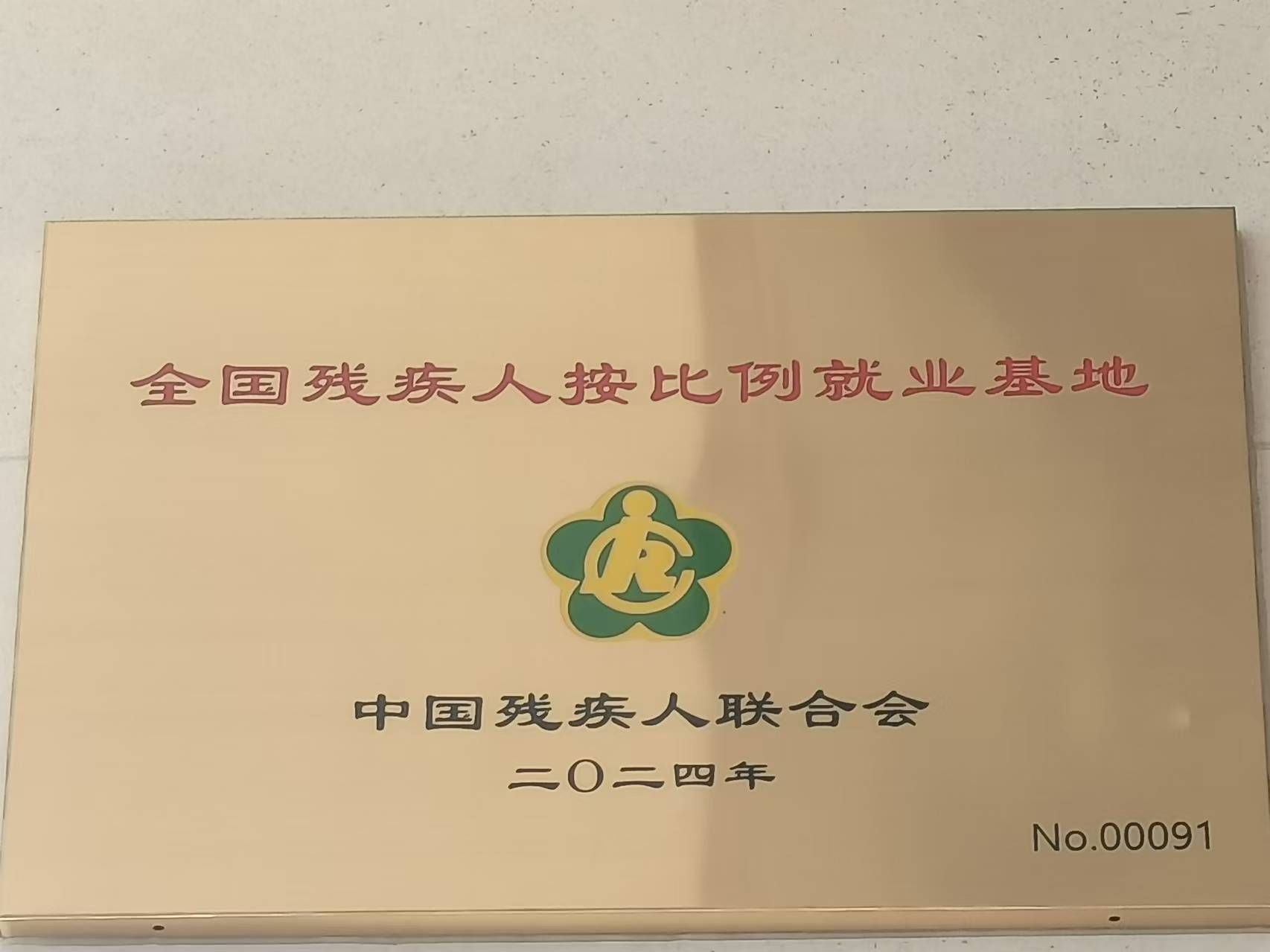 全國(guó)障害者比例就職基地（2024）